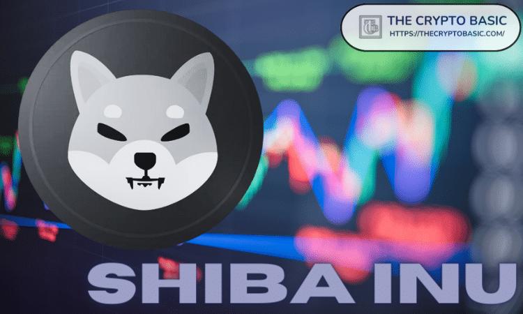 柴犬不再位列前20名——这可能是导致其排名下降的原因