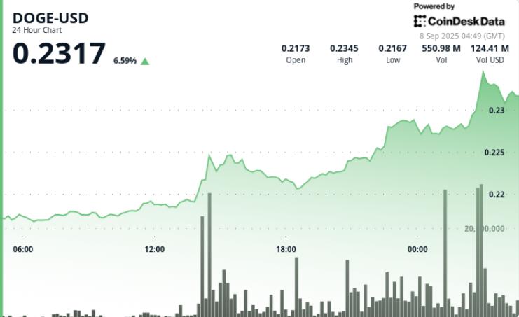 DOGE价格走势在阻力位保持的同时构建更高的低点