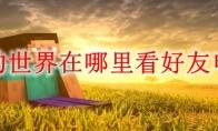 我的世界在哪里看好友申请