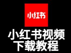 小红书app视频怎么下载 小红书app视频下载方法