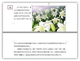 word中图片如何排版防止错乱