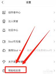 soul被禁言如何解决