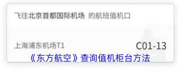 如何在东方航空查看登机柜台