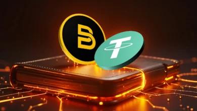 BlockchainFX Staking 详解：2025 年如何每日赚取 USDT