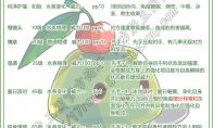 洛克王国抹茶布丁技能搭配