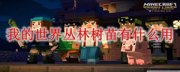 我的世界丛林树苗有什么用