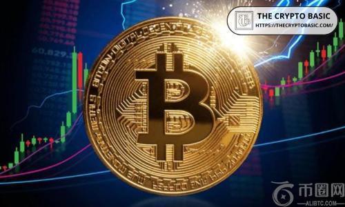 Tether CEO：早期采用比特币将带来巨大回报