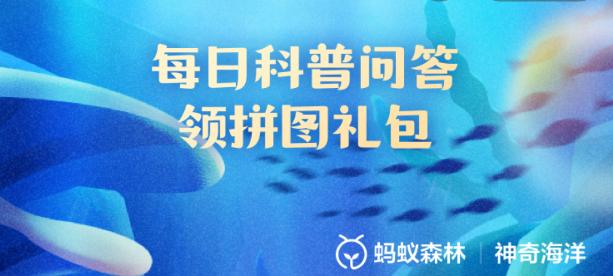 鹦鹉螺的腕手数量是固定的吗