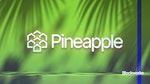 Pineapple 以 890 万美元收购 INJ，推出 1 亿美元 Injective 资金库