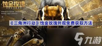 三角洲红狼蚀金玫瑰保底价格是多少