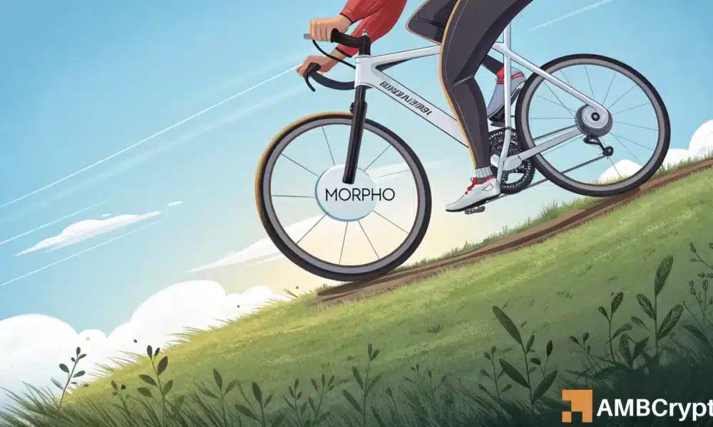 MORPHO 价格下跌 15% – 2 美元是下一个目标吗