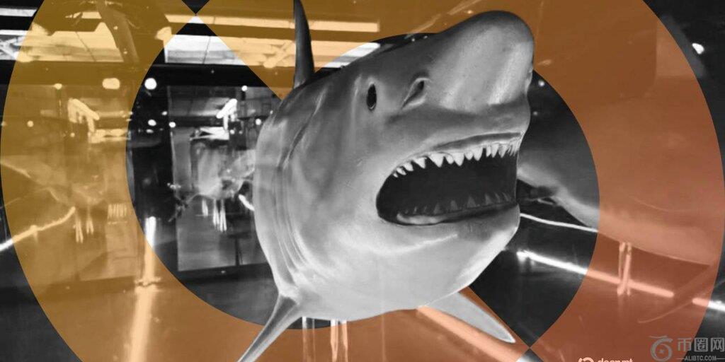 不是牛市 比特币用户用“鲨鱼Satutue”向“金钱的顶级掠食者”致敬