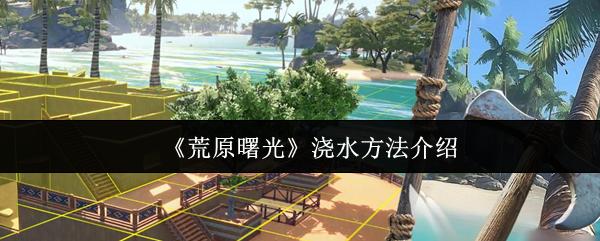 荒原曙光 浇水方法介绍