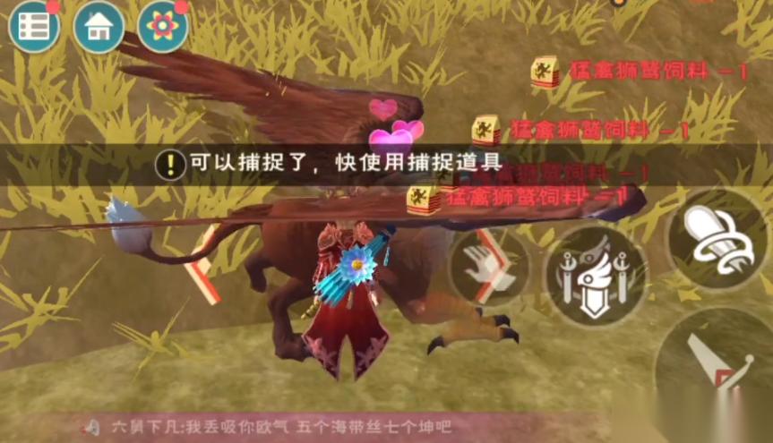 创造与魔法坐骑哪个最好