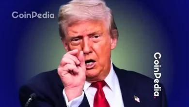 为何在加密货币市场下跌之际，官方特朗普币今日反而上涨