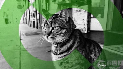 加密货币投机者借旧金山“第十六街市长”猫咪之死牟利