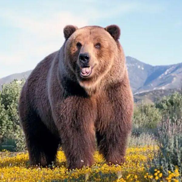 比特币失守 10 万大关：牛熊转换拐点