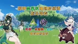 原神奈芙尔如何进行配队