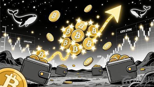 比特币巨鲸与机构投资者共同布局：市场回调中浮现囤积型投资机遇