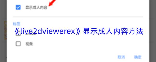 live2dviewerex 显示成人内容方法
