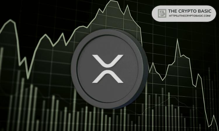 以下是价值 5,000 美元的 XRP 增值至 100 万美元的时间表