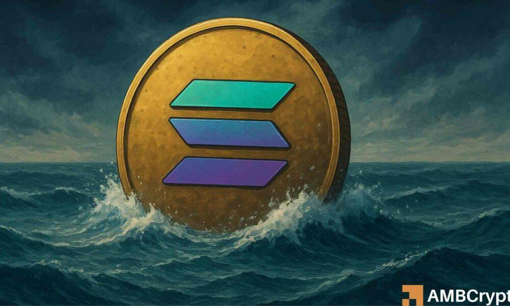 Solana国债下跌40%，但一位首席投资官表示，这次下跌是“十年内损失1万美元的布局”。