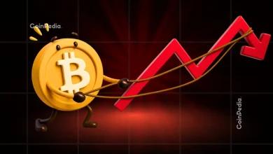 加密货币今日暴跌原因【实时更新】2025年11月21日