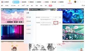 小鸟壁纸怎么查看下载的壁纸图片