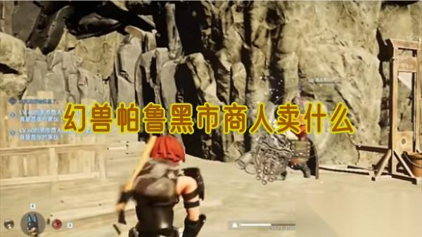 幻兽帕鲁黑市商人卖什么