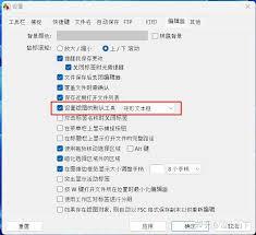 FastStone Capture如何设置自动标题