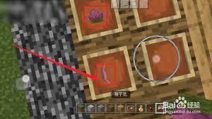 我的世界孢子花的用途是什么