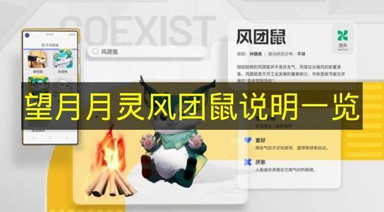 望月 月灵风团鼠说明一览