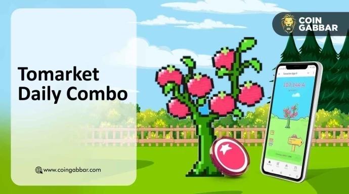 Tomarket每日组合推荐（2025年12月9日）：提升您的收益