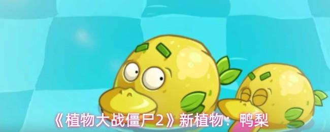 植物大战僵尸2 新植物：鸭梨