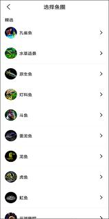 鲲天下如何提问