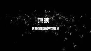 云美摄如何去除原声