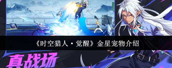 时空猎人·觉醒 金星宠物介绍