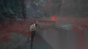 光与影33号远征队芽簇皮肉在哪里在哪