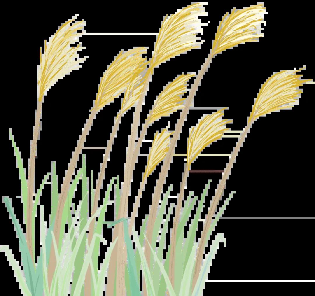 再见还是“再见” 价值投资的黄金时代