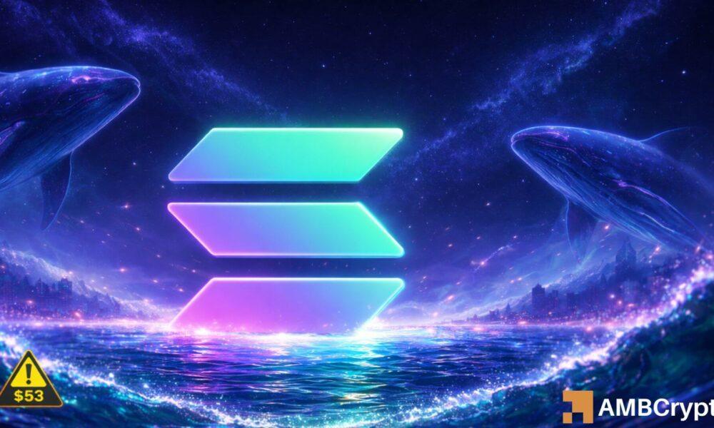 Solana 巨鲸买盘、ETF 需求及下行风险上升内幕