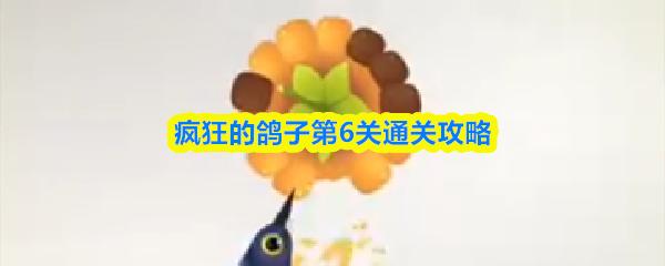 疯狂的鸽子第6关通关攻略