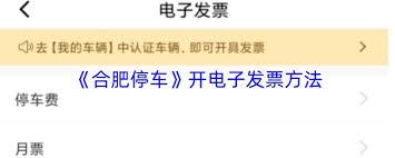 合肥停车如何开发票