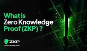 了解零知识证明 (ZKP)：这个以隐私为先的第一层项目是如何运作的