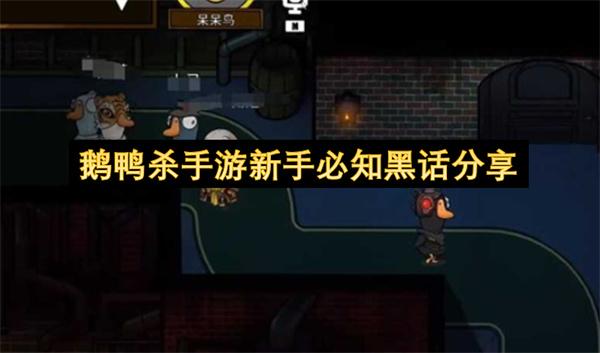 鹅鸭杀手游新手必知黑话分享