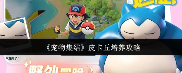 宠物集结 皮卡丘培养攻略