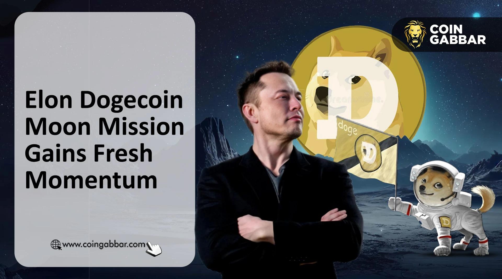 埃隆·马斯克暗示狗狗币登月计划：狗狗币价格接下来会如何走势