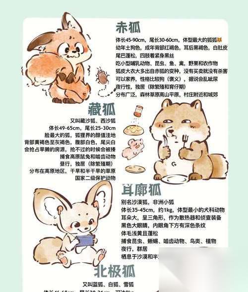 部落冲突中狐狸的正确使用方法