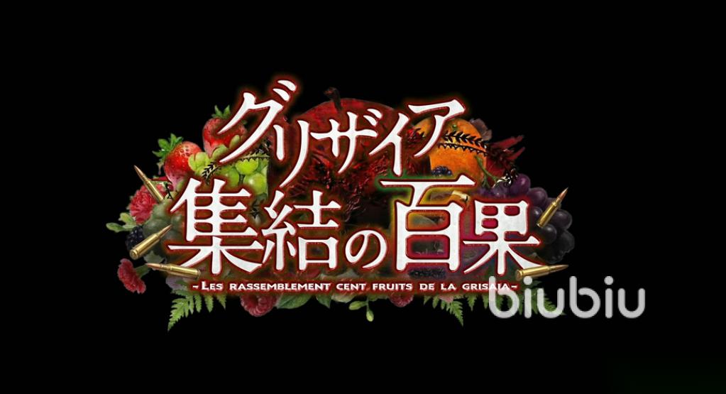 灰色集结的白果加速器哪款好 性能一流的灰色集结的白果加速器分享