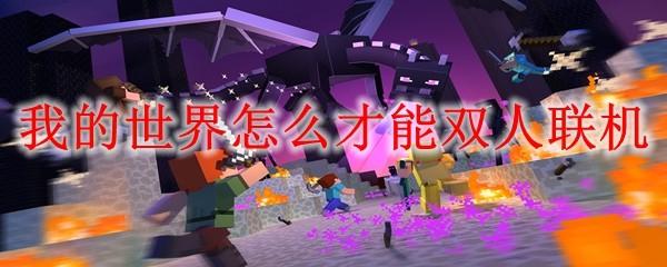 我的世界怎么才能双人联机
