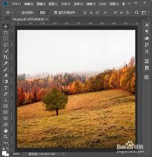 ps如何制作塑料包装滤镜背景